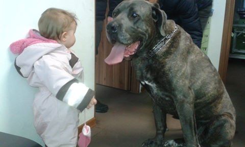 trzymajcie kciuki dla Bacusia